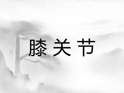 膝关节 膝关节