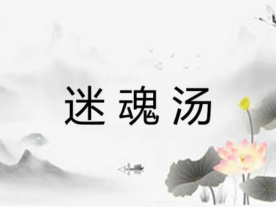 迷魂汤 迷魂汤