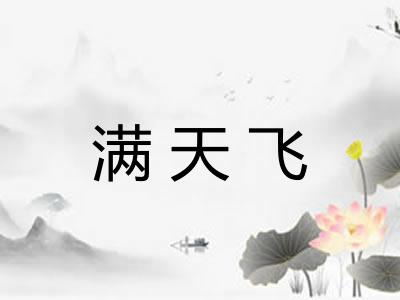 满天飞