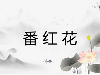 番红花
