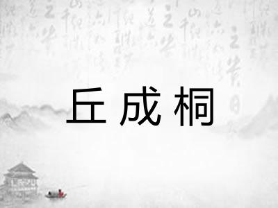 丘成桐 丘成桐