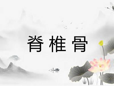 脊椎骨