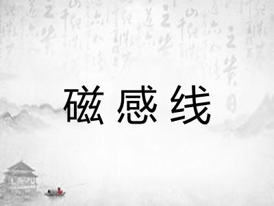 磁感线 磁感线