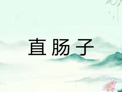 直肠子 直肠子
