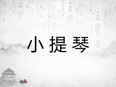 小提琴