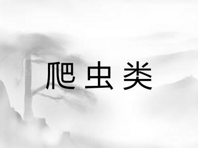 爬虫类