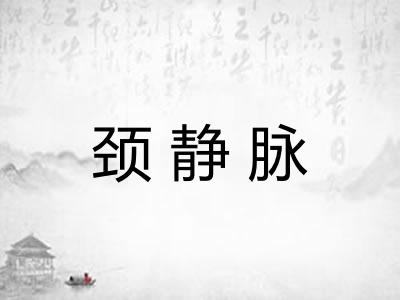 颈静脉