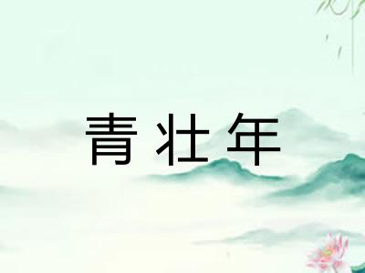 青壮年