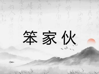 笨家伙