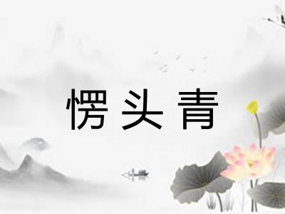 愣头青 愣头青