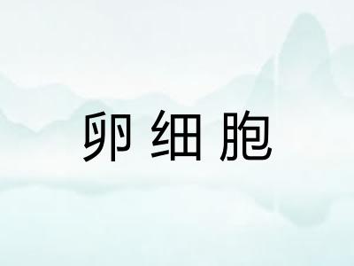 卵细胞 卵细胞