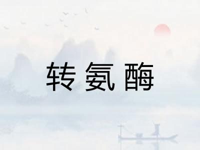 转氨酶