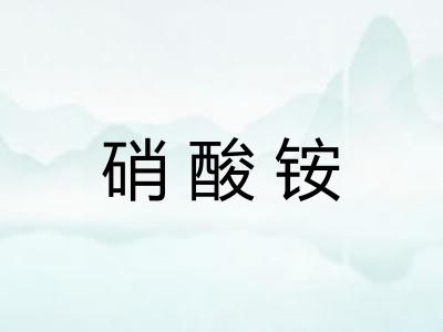 硝酸铵 硝酸铵