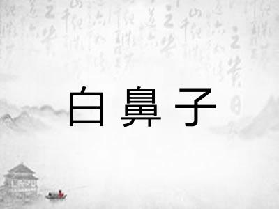 白鼻子 白鼻子