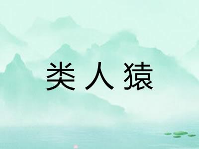 类人猿 类人猿