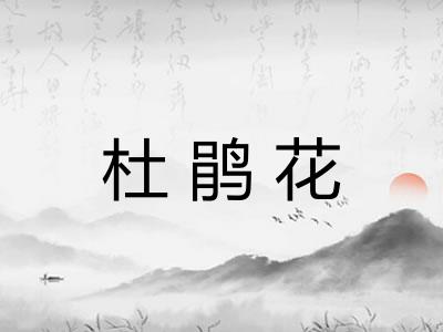杜鹃花
