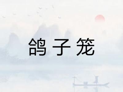 鸽子笼 鸽子笼