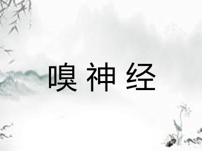 嗅神经