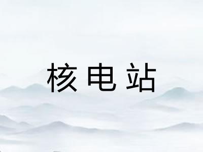 核电站 核电站