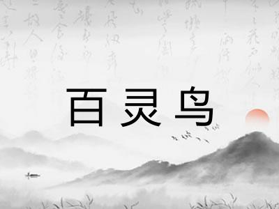 百灵鸟