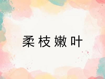 柔枝嫩叶