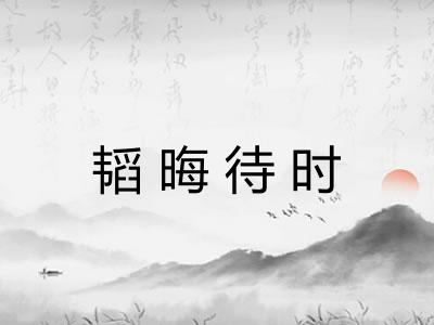 韬晦待时