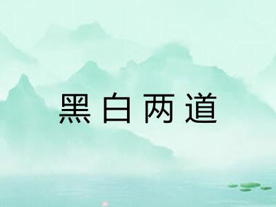 黑白两道