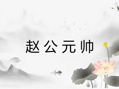 赵公元帅 赵公元帅