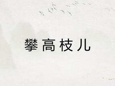 攀高枝儿