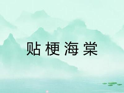 贴梗海棠