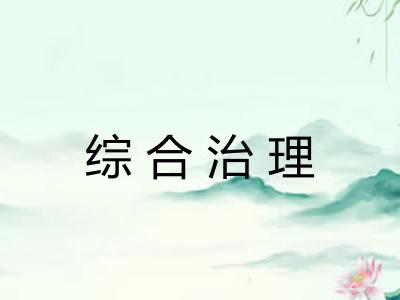 综合治理