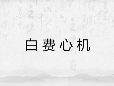 白费心机