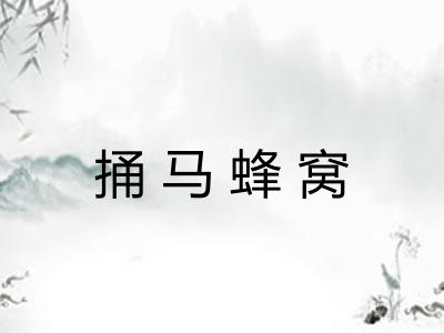 捅马蜂窝