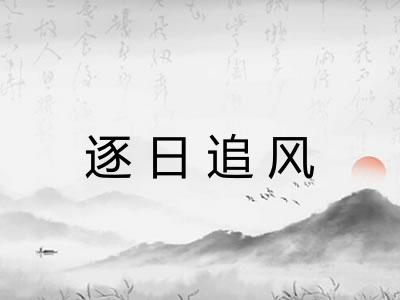 逐日追风 逐日追风