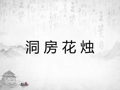 洞房花烛 洞房花烛