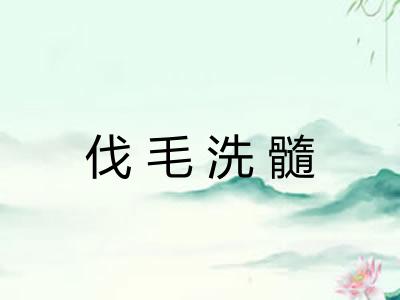伐毛洗髓