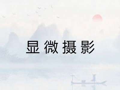 显微摄影 显微摄影