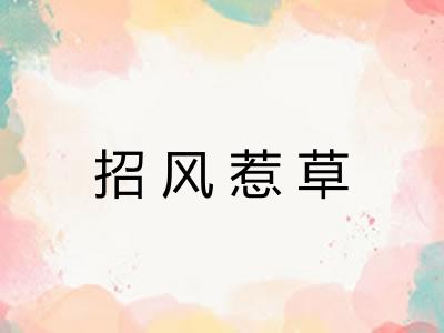 招风惹草