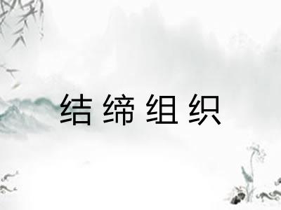 结缔组织