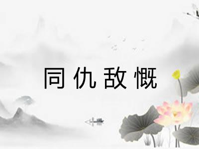 同仇敌慨