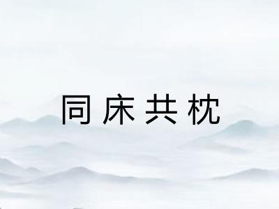同床共枕 同床共枕