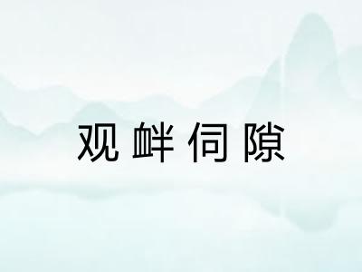 观衅伺隙
