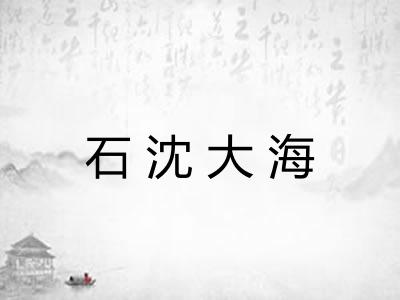 石沈大海