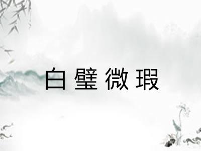 白璧微瑕