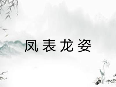 凤表龙姿