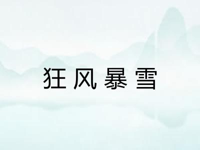 狂风暴雪 狂风暴雪