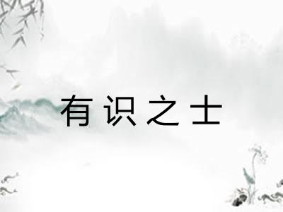 有识之士