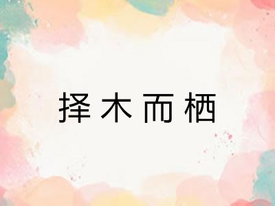 择木而栖