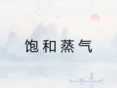 饱和蒸气