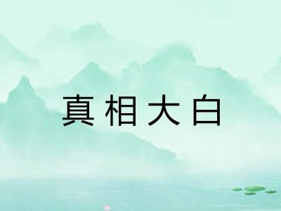 真相大白 真相大白